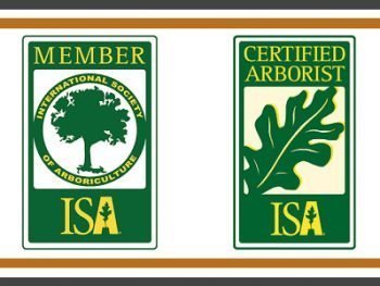 Certified Arborist Logos