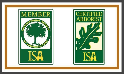 Certified Arborist Logos