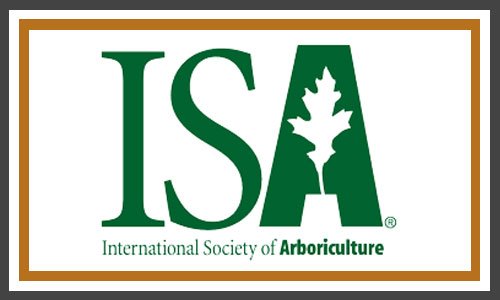 isa