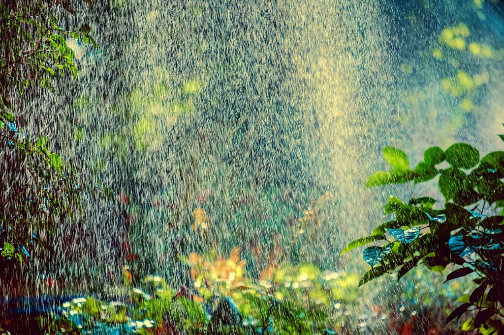 Sprinkler on flowers