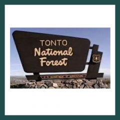 Tonto National Forest Tonto National Forest Client Logo