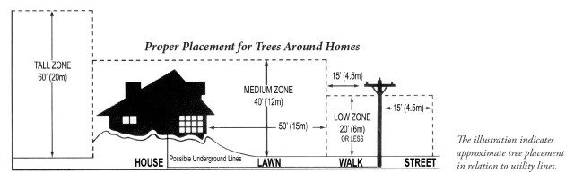 Diagram of where to plant tree