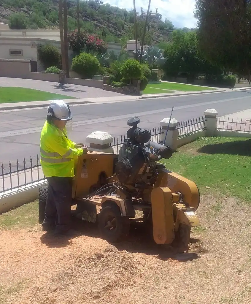 A worker operating a yellow stump grinder machine to grind down a tree stump into chips in a residential yard.