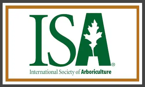 ISA