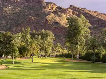 Tree Irrigation in Phoenix, AZ