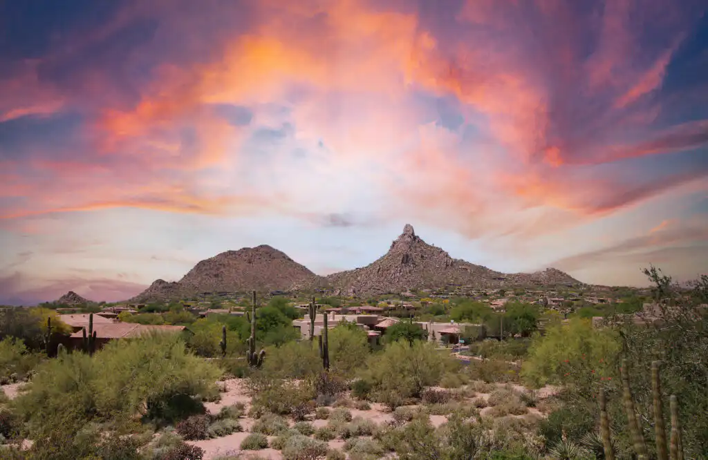 scottsdale tree service