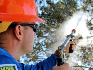 Tree Fertilization Company Scottsdale, AZ