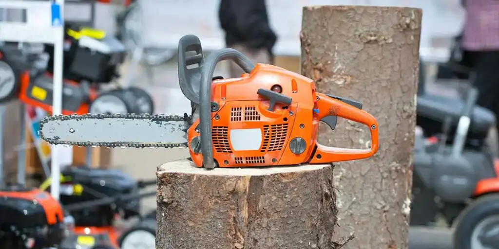 how long does it take to remove a tree