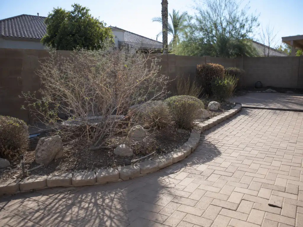 Worn backyard landscape with a curved stone-edged garden bed, dry shrubs, bare soil, and scattered rocks beside a brick paver patio.