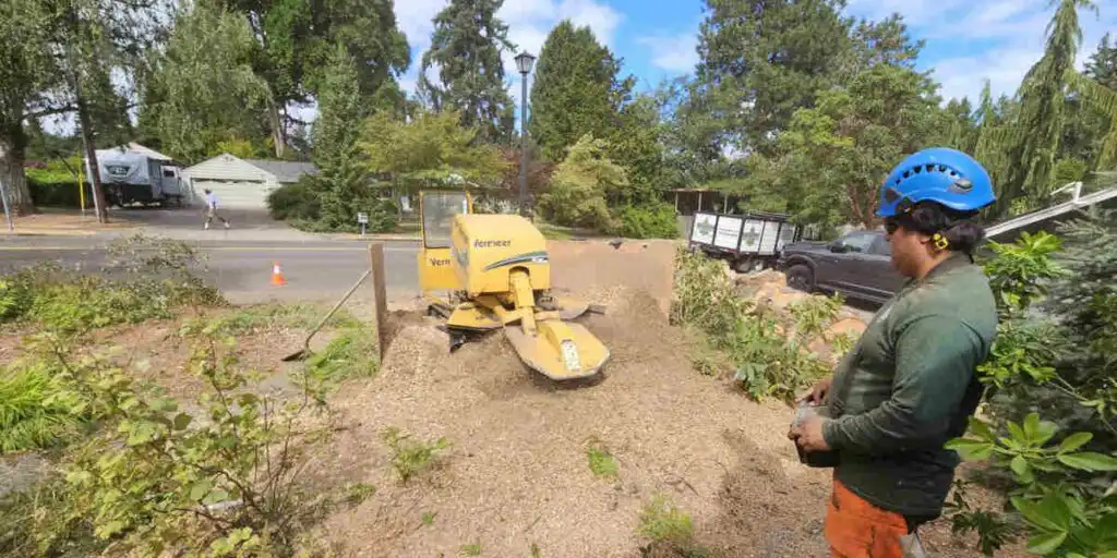 how deep does stump grinding go​