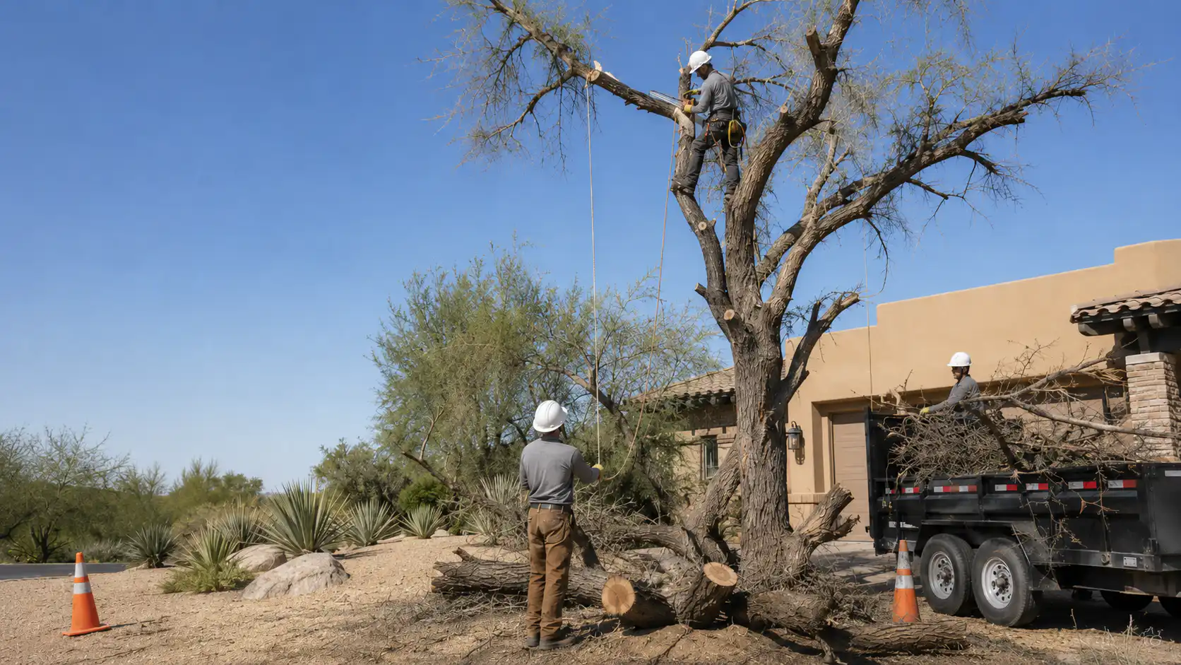 Tree removal crew working at a residential property, with one arborist cutting branches from the tree while ground crew members manage ropes and debris.