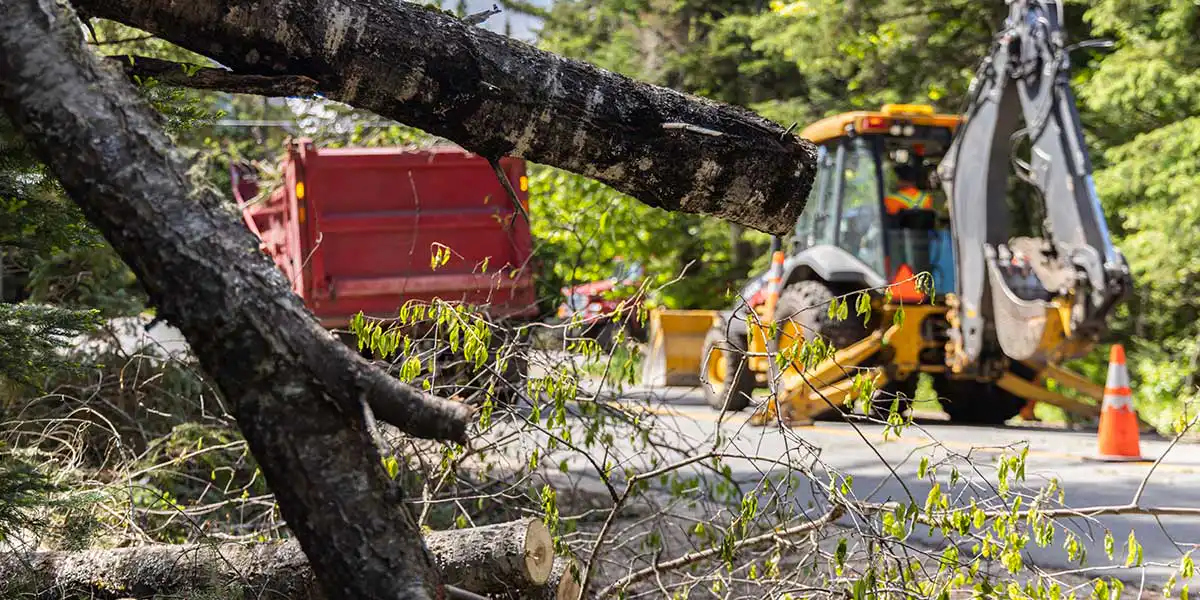 Fallen tree branches block a road while heavy machinery and a dump truck prepare for emergency tree removal services.