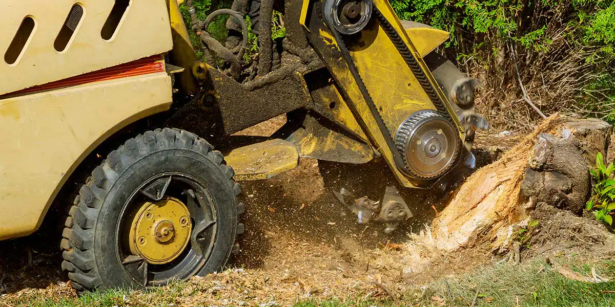 Heavy machinery stump grinder removing a tree stump outdoors, illustrating equipment and labor factors affecting total stump grinding costs.