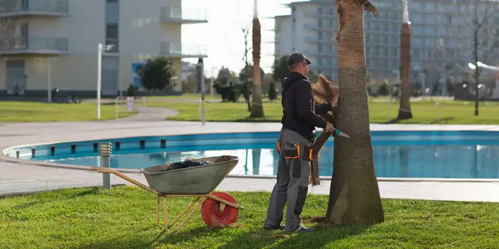 A worker trims and removes palm tree debris near an outdoor swimming pool using tools and a wheelbarrow nearby.