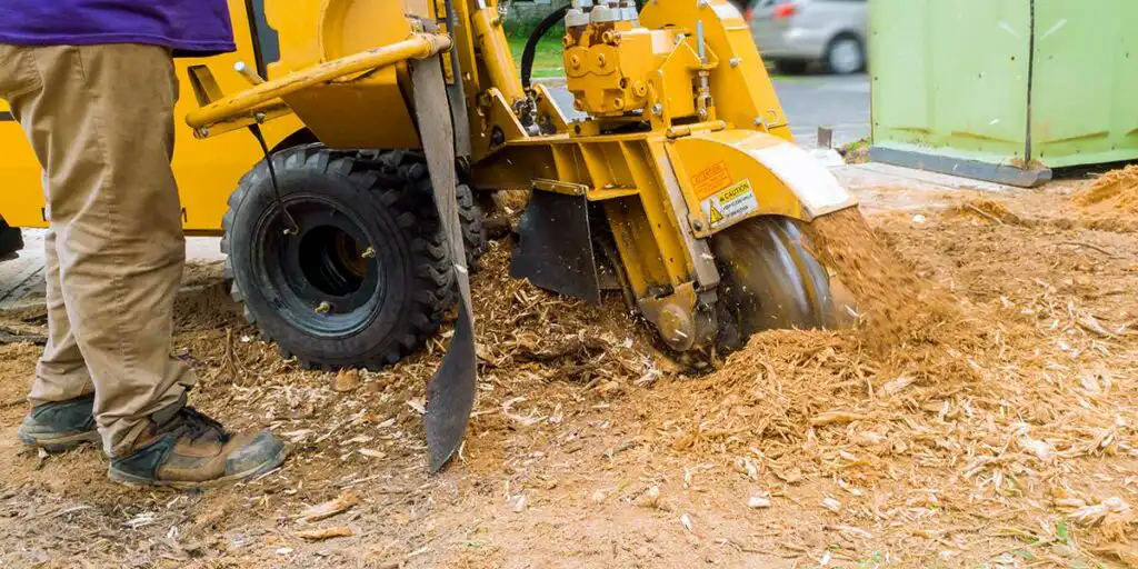 A heavy-duty yellow stump grinder machine actively chews through a tree stump, producing fresh wood chips on the ground.