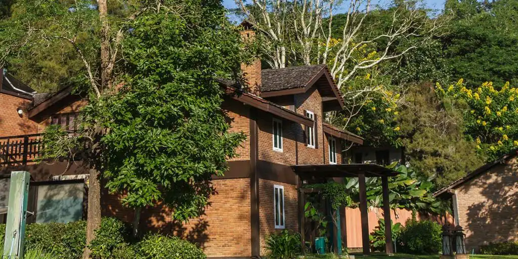 A two-story brick home stands surrounded by large, lush green trees positioned extremely close to its roof and siding.