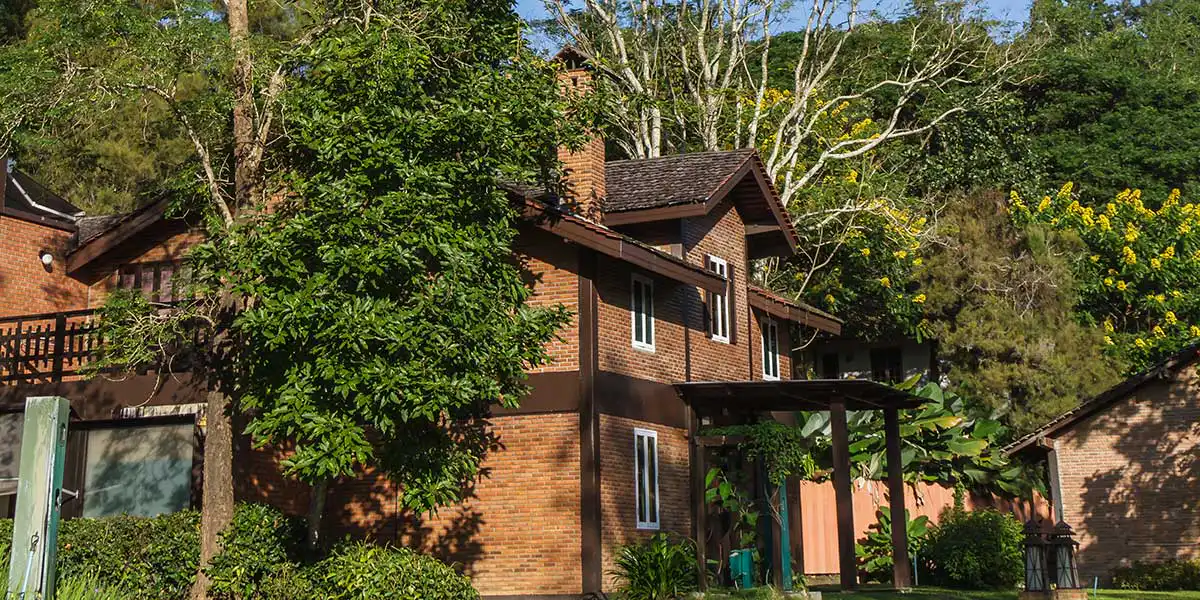 A two-story brick home stands surrounded by large, lush green trees positioned extremely close to its roof and siding.